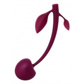 Бордовая вагинальная вишенка WILD CHERRY - 14,5 см. - JOS