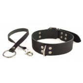 Черный ошейник  Новичок  с поводком - Sitabella - купить с доставкой в Ноябрьске