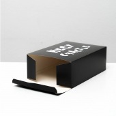 Складная коробка  Несу счастье  - 16 х 23 см. - UPAK LAND - купить с доставкой в Ноябрьске