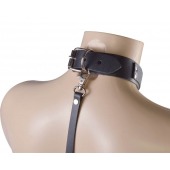 Черный ошейник с металлическими зажимами на соски и поводком - Sitabella - купить с доставкой в Ноябрьске