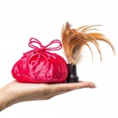 Пудра для тела Honey Dust Body Powder с ароматом манго - 170 гр. - Kama Sutra - купить с доставкой в Ноябрьске