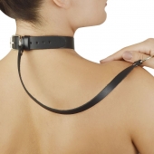 Зеленый меховой ошейник с кожаным поводком - Sitabella - купить с доставкой в Ноябрьске