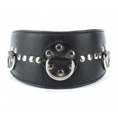Чёрный кожаный ошейник с полукольцами и клёпками - БДСМ Арсенал - купить с доставкой в Ноябрьске
