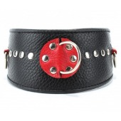 Кожаный ошейник с металлическими клепками - БДСМ Арсенал - купить с доставкой в Ноябрьске