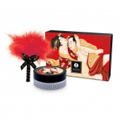 Массажная пудра с ароматом клубники и шампанского Strawberry Wine - Shunga - купить с доставкой в Ноябрьске