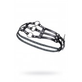 Черный кожаный пояс с кольцами - Pecado - купить с доставкой в Ноябрьске