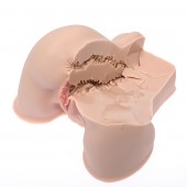 Мастурбатор-полуторс Naked Factory Kate - Naked Factory - в Ноябрьске купить с доставкой