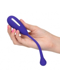 Фиолетовый шарик с электростимуляцией и вибрацией Intimate E-Stimulator Remote Kegel Exerciser - California Exotic Novelties - купить с доставкой в Ноябрьске