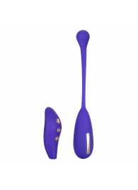 Фиолетовый шарик с электростимуляцией и вибрацией Intimate E-Stimulator Remote Kegel Exerciser - California Exotic Novelties - купить с доставкой в Ноябрьске