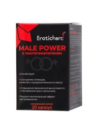 Капсулы для мужчин Erotichard male power с пантогематогеном - 20 капсул (0,370 гр.) - Erotic Hard - купить с доставкой в Ноябрьске