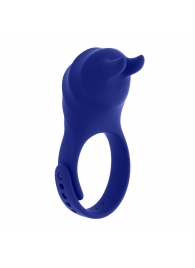 Синее эрекционное виброкольцо с клиторальной подушечкой и пультом ДУ Adjustable Fun Ring - Zero Tolerance - в Ноябрьске купить с доставкой