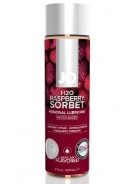 Лубрикант на водной основе с ароматом малины JO Flavored Raspberry Sorbet - 120 мл. - System JO - купить с доставкой в Ноябрьске