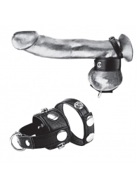 Утяжка для мошонки и пениса Cock Ring With 1  Ball Stretcher And Optional Weight Ring - BlueLine - купить с доставкой в Ноябрьске