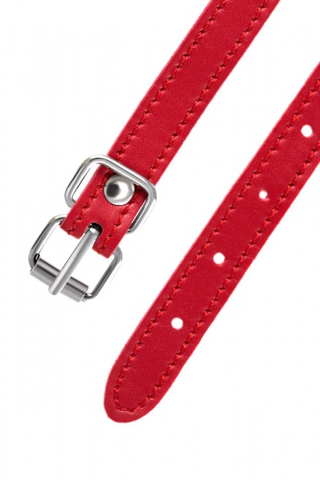 Красная маска Anonymo из искусственной кожи - ToyFa - купить с доставкой в Ноябрьске