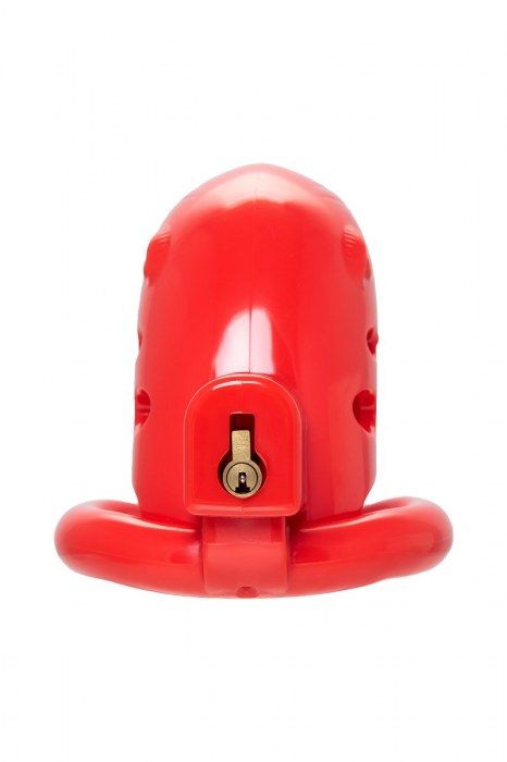 Красный мужской пояс верности из пластика - ToyFa - купить с доставкой в Ноябрьске