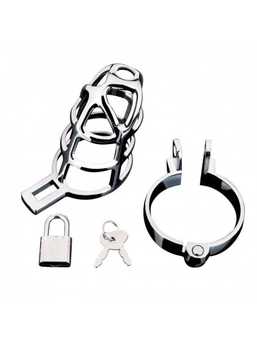 Серебристая металлическая клетка для члена с замком Enslave Cock Cage - BlueLine - купить с доставкой в Ноябрьске