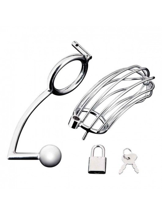 Серебристая металлическая клетка с анальным стимулятором Cock Cage - BlueLine - купить с доставкой в Ноябрьске