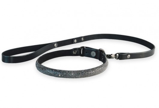 Эффектный сверкающий ошейник с поводком  Гламур - Sitabella - купить с доставкой в Ноябрьске