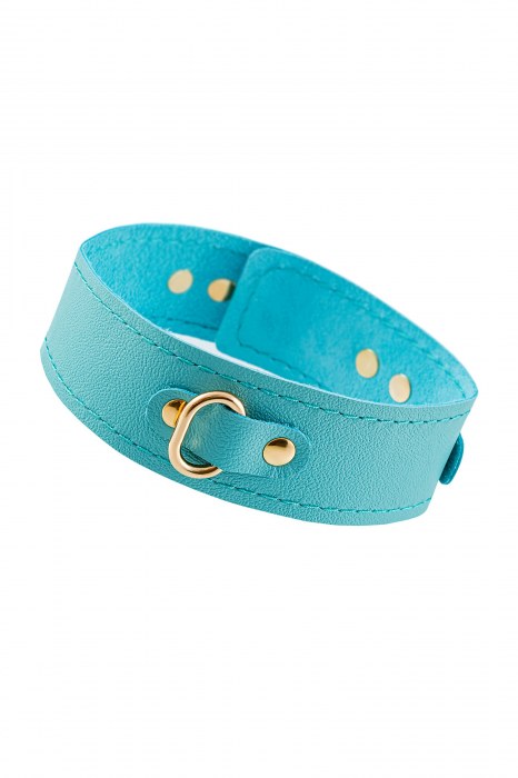 Голубой кожаный однослойный ошейник с прошивкой - Pecado - купить с доставкой в Ноябрьске