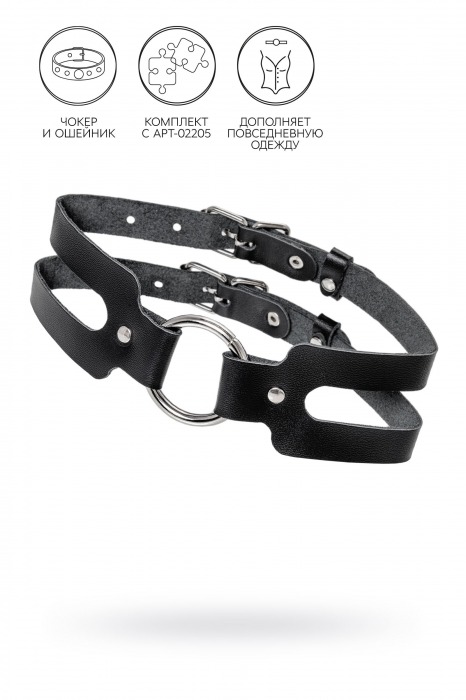 Черный кожаный чокер-ошейник из двух ремешков - Pecado - купить с доставкой в Ноябрьске