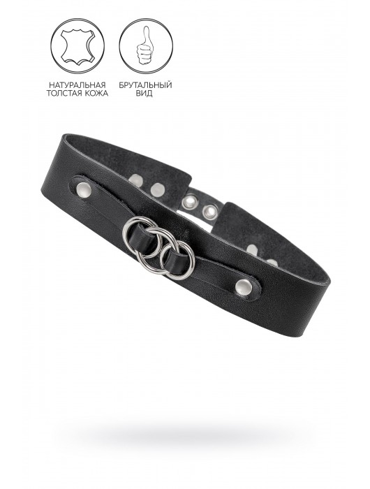 Черный чокер-ошейник со связанными кольцами на подложке - Pecado - купить с доставкой в Ноябрьске