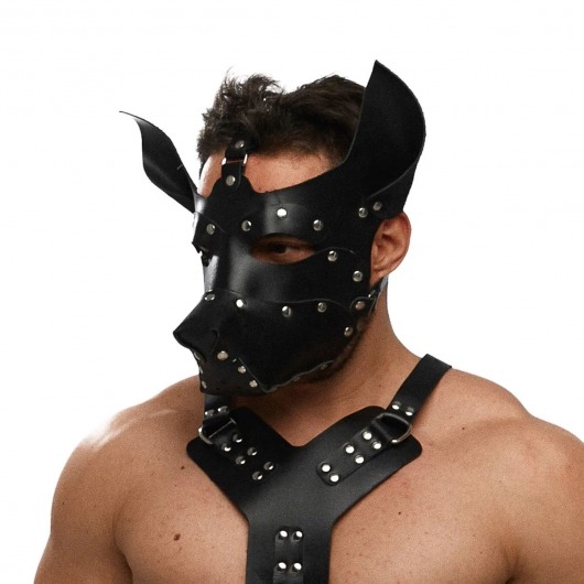 Черная кожаная маска «Собака» - Crazy Handmade - купить с доставкой в Ноябрьске
