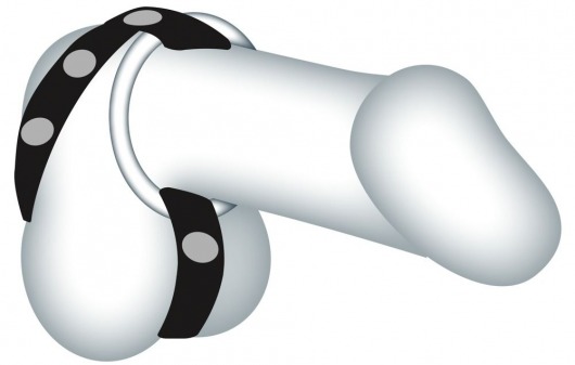 Подхват для мошонки с 3 съемными эрекционными кольцами Leder-Riemen - Orion - в Ноябрьске купить с доставкой