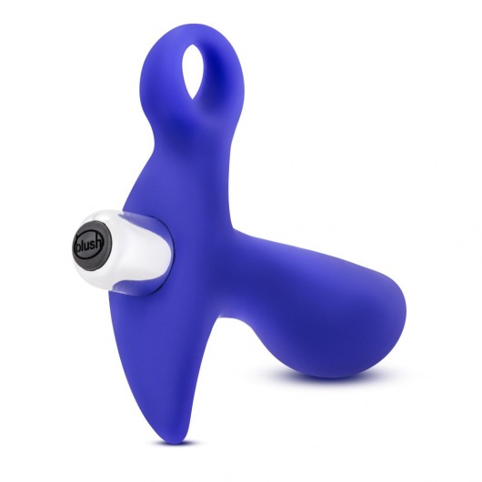 Синий стимулятор простаты с ручкой-кольцом Performance Prostimulator 02 - Blush Novelties - в Ноябрьске купить с доставкой