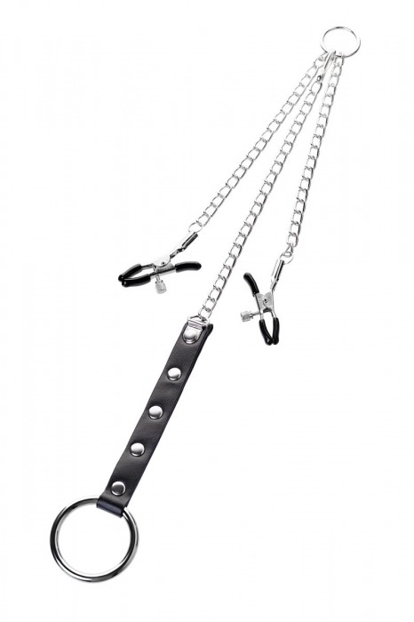 Серебристо-чёрные зажимы для сосков с кольцом для пениса TOYFA Metal - ToyFa - купить с доставкой в Ноябрьске