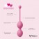 Набор из 3 розовых вагинальных шариков FemmeFit Advanced Pelvic Muscle Training Set - FeelzToys в Ноябрьске Набор из 3 розовых вагинальных шариков FemmeFit Advanced Pelvic Muscle Training Set - FeelzToys